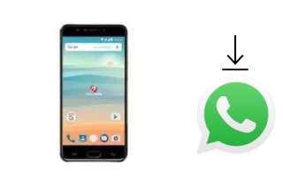 Comment installer WhatsApp dans un Cherry Mobile Flare S6 Selfie