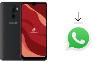 Comment installer WhatsApp dans un Cherry Mobile Flare Y20