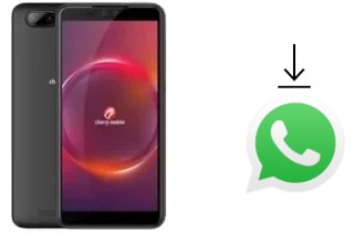 Comment installer WhatsApp dans un Cherry Mobile Flare Y6 Pro