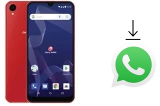 Comment installer WhatsApp dans un Cherry Mobile Flare Y7