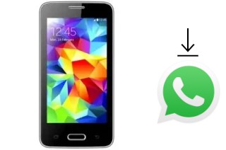 Comment installer WhatsApp dans un Chilli S05