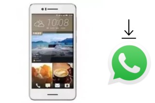 Comment installer WhatsApp dans un CKTEL H728