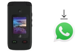 Comment installer WhatsApp dans un Cloud Mobile Mist