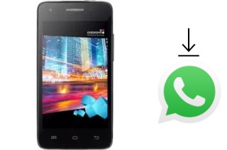 Comment installer WhatsApp dans un Colorovo Citytone Lite