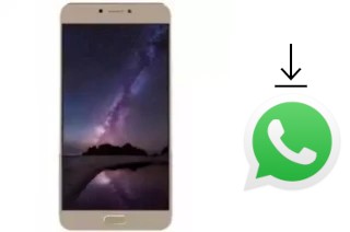 Comment installer WhatsApp dans un Condor PGN612