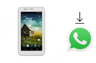 Comment installer WhatsApp dans un ConnSpeed SMB1