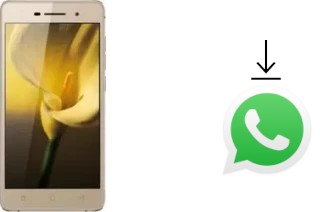 Comment installer WhatsApp dans un Coolpad TipTop mini