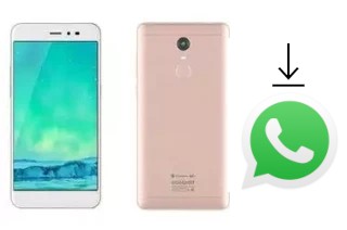 Comment installer WhatsApp dans un Coolpad TipTop N1S