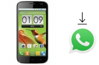 Comment installer WhatsApp dans un Cross A66