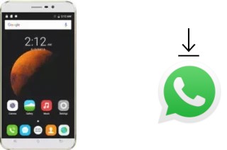 Comment installer WhatsApp dans un Cubot Dinosaur