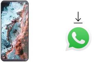 Comment installer WhatsApp dans un Cubot Max 2