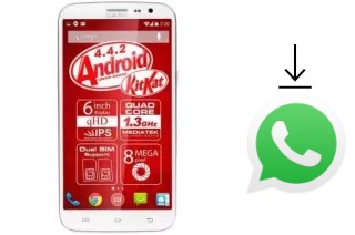 Comment installer WhatsApp dans un Dark Evo P60