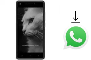 Comment installer WhatsApp dans un DEXP BL250