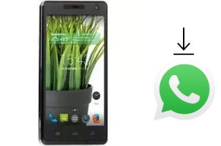 Comment installer WhatsApp dans un DEXP Ixion XL 5