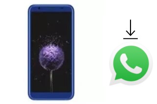 Comment installer WhatsApp dans un DEXP Z355