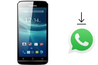 Comment installer WhatsApp dans un DigiLand DL5503QL