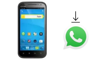 Comment installer WhatsApp dans un DNS S4501M