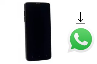 Comment installer WhatsApp dans un DNS S4704