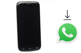 Comment installer WhatsApp dans un DNS S5002