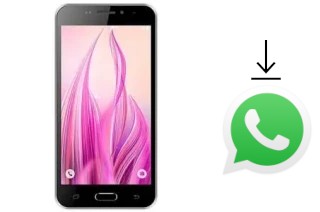 Comment installer WhatsApp dans un DOK D207