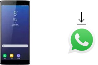 Comment installer WhatsApp dans un Doogee BL12000