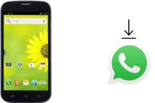 Comment installer WhatsApp dans un Doogee Discovery DG500C