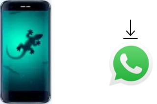 Comment installer WhatsApp dans un Doogee F3 Pro