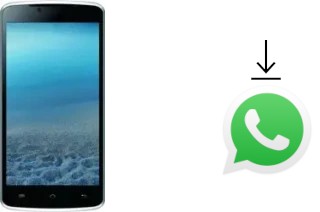 Comment installer WhatsApp dans un Doogee Mint DG330