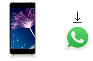 Comment installer WhatsApp dans un Doogee X10S