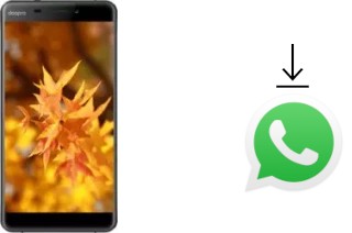 Comment installer WhatsApp dans un Doopro C1 Pro