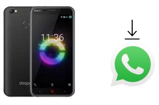 Comment installer WhatsApp dans un Doopro P2