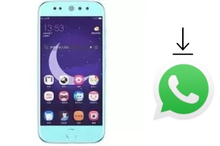 Comment installer WhatsApp dans un Doov L525