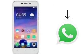 Comment installer WhatsApp dans un Doov V31