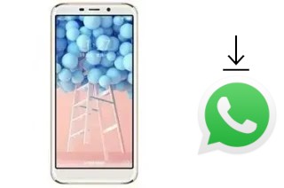 Comment installer WhatsApp dans un Doov V33