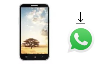 Comment installer WhatsApp dans un effire CityPhone Lion