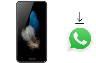 Comment installer WhatsApp dans un Eko Omega Q57