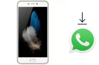 Comment installer WhatsApp dans un Eko Star G50