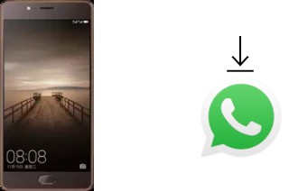 Comment installer WhatsApp dans un Elephone P8 (2017)