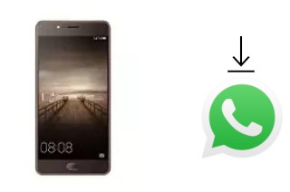 Comment installer WhatsApp dans un Elephone P8 Mini