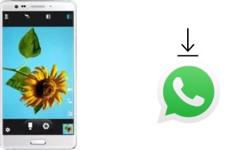 Comment installer WhatsApp dans un Elephone P8 Pro