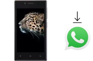 Comment installer WhatsApp dans un Elite Evo E41