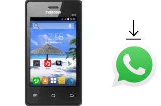 Comment installer WhatsApp dans un Evercoss A53 Star