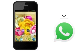 Comment installer WhatsApp dans un Evercoss A53B