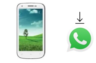 Comment installer WhatsApp dans un Evertek Everclassic