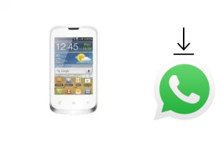 Comment installer WhatsApp dans un Evertek Evermagic