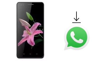 Comment installer WhatsApp dans un Evolio S5