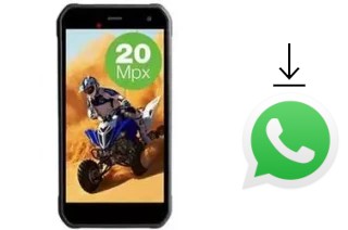 Comment installer WhatsApp dans un Evolveo StrongPhone G8