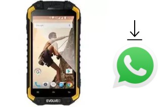 Comment installer WhatsApp dans un Evolveo StrongPhone Q9