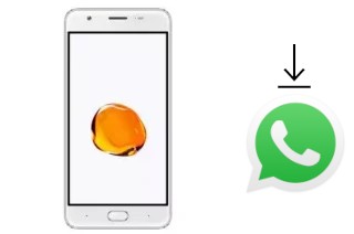 Comment installer WhatsApp dans un ExMobile Chat 9 Max