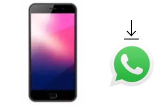 Comment installer WhatsApp dans un ExMobile Chat 9